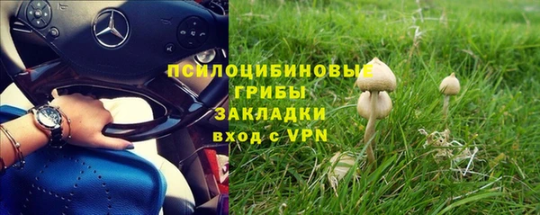 PSILOCYBIN Армянск