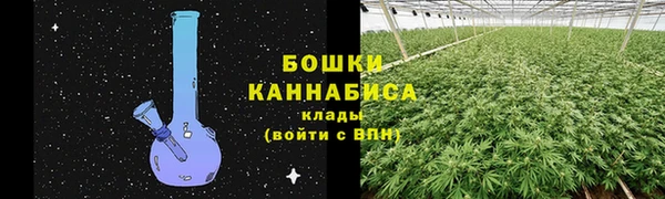 PSILOCYBIN Армянск