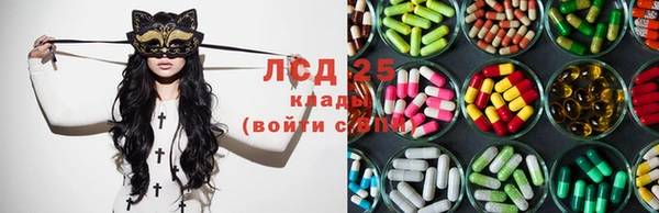 эйфоретик Арсеньев
