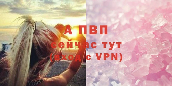 эйфоретик Арсеньев