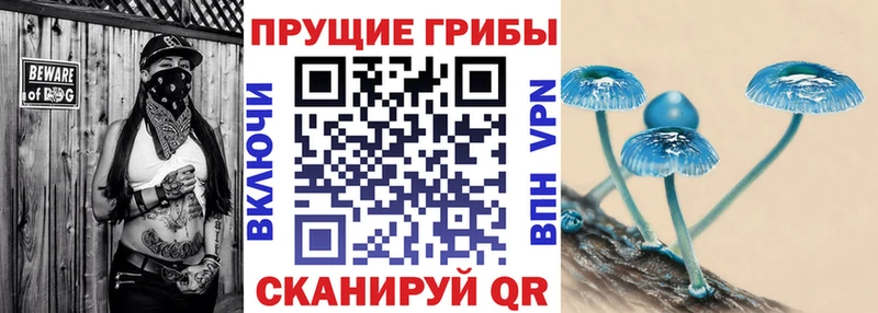 Галлюциногенные грибы Cubensis  Ивдель 